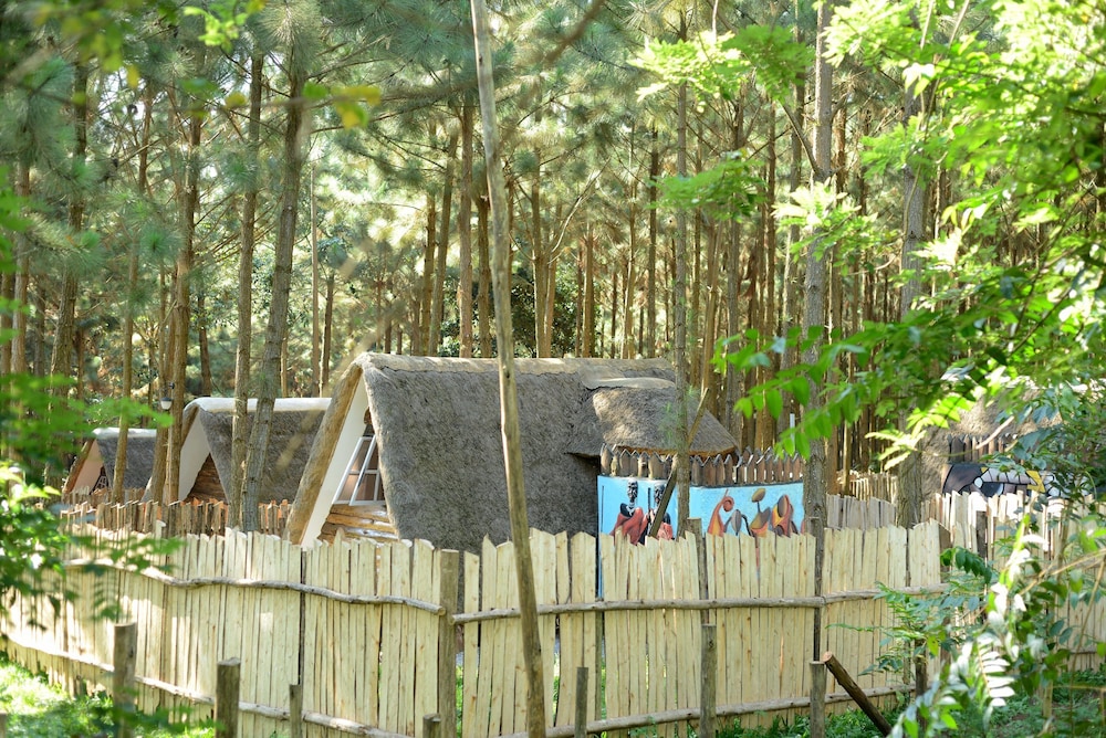 Nyungu Yamawe Forest Park