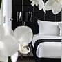 KOZYGURU Chatswood Luxury Studio