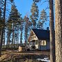 Lossisaari