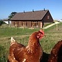 Bike Shed, 1-bed Cottage, Sleeps 2, Pet Friendly