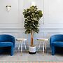 The King Street House by Kasa