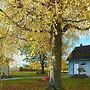 4 Person Holiday Home in Myresjö