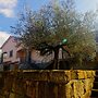 Large Apartment in Hrastovlje With Private Swimming Pool