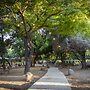 Camping Dafna - By Travel Hotel Chain