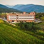 Chateau Artwine