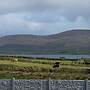 Stunning 1-bed Apartment Valentia Island