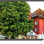 Konferenzhotel Ysenburger Hof
