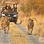 Morokolo Safari Lodge Self-catering