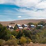 Carmey Avdat Farm