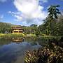 Macaw Lodge