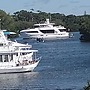 Bayfront Beauty
