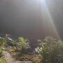 Glamping in Lechuza River