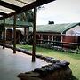 Too Guest House