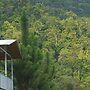Native Baru Morpho Cabin