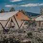 Salterra Glamping