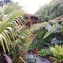 Cabin set in a Beautiful Romantic Tropical Garden