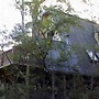 Green Leaves Cabin