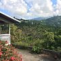 Neita's Nest - Jamaican Bed & Breakfast