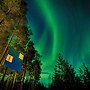 Tree Hotel