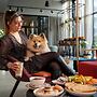 Moxy Paris Val D’Europe