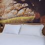 Italianway - San Pietro 8 - A - Rovere - So-l563-spie8at