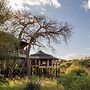 TARANGIRE KURO TREETOP LODGE