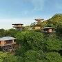 Suitree Experience Hotel