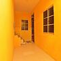 OYO 90664 Rabi Hotel