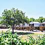 15 Son's Rio Cibolo - Birdhouse Cabin