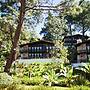 Monteverde Hotel de Cabañas