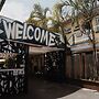 Backpackers In Paradise Resort - Hostel