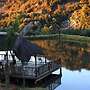 Emahlathini Guest Farm