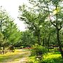 Zen and Pine Resort