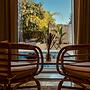 The Carob Tree B&B