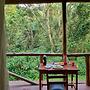 Kibale River Camp