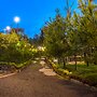 Miracle Signature Hills