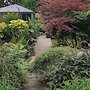 Tropical Garden Oasis