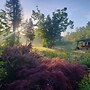 Rising Spirit Bed & Breakfast