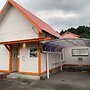 joygarden - Adults Only