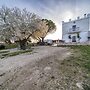 Tenuta del Grillaio