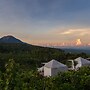 Alam Kita Glamping & Plantation