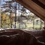 Hilltop Forest