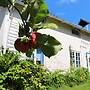 6 Person Holiday Home in Ostra Antervik-by Traum