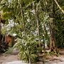 Bossa Beach House