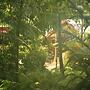 Tropical Bliss BNB