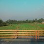 KK Jungle View Resort Jim Corbett