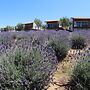 Montevalle Resort and Spa