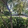 Driftwood Boutique Bed and Breakfast
