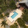 Tropical Breeze