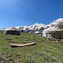 Yurt camp GREEN CAMP